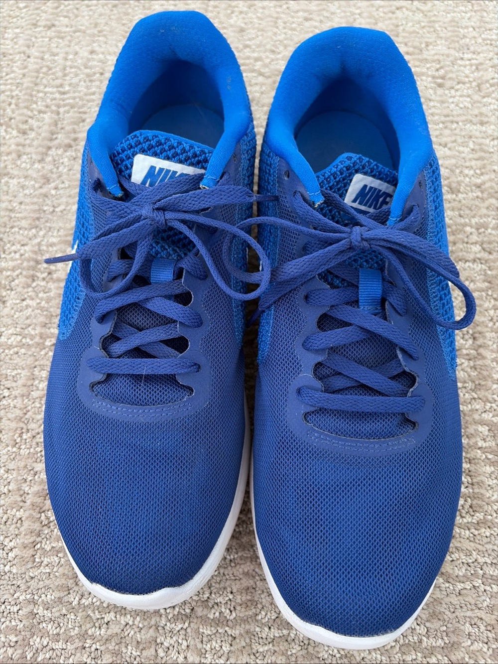 Nike Revolution 3 Mens Running Shoes Blue With Blue Mesh Size 9 Athletic Shoes